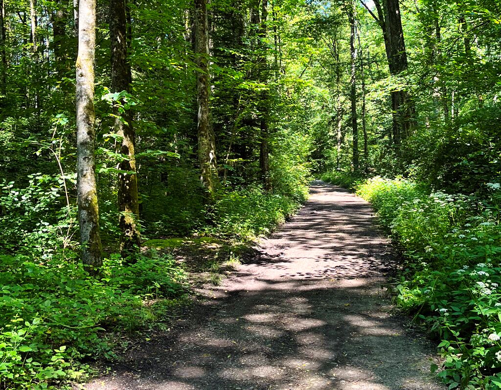 Urlaub im Koffer
