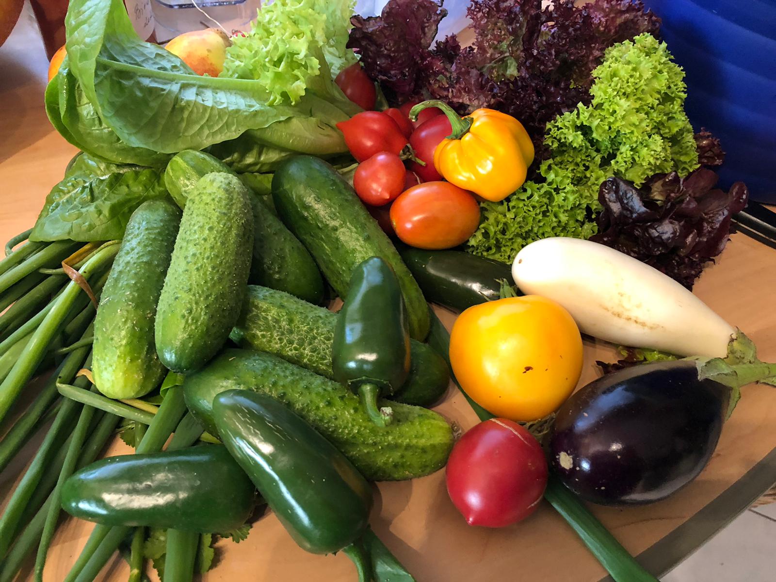 Gesunde Ernährung